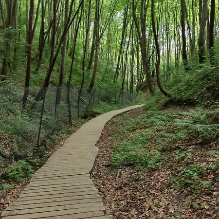 شقة Pod Sosnami *