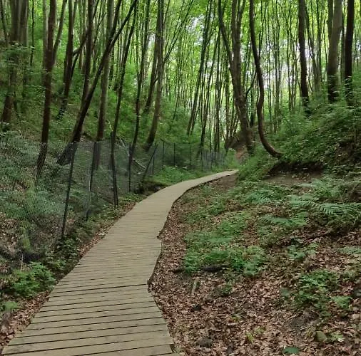 Apartament Pod Sosnami *